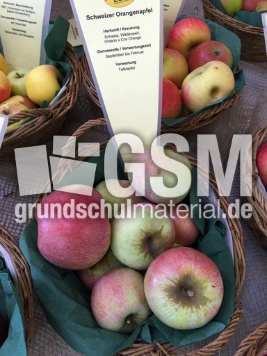 Schweizer Orangenäpfel.jpg